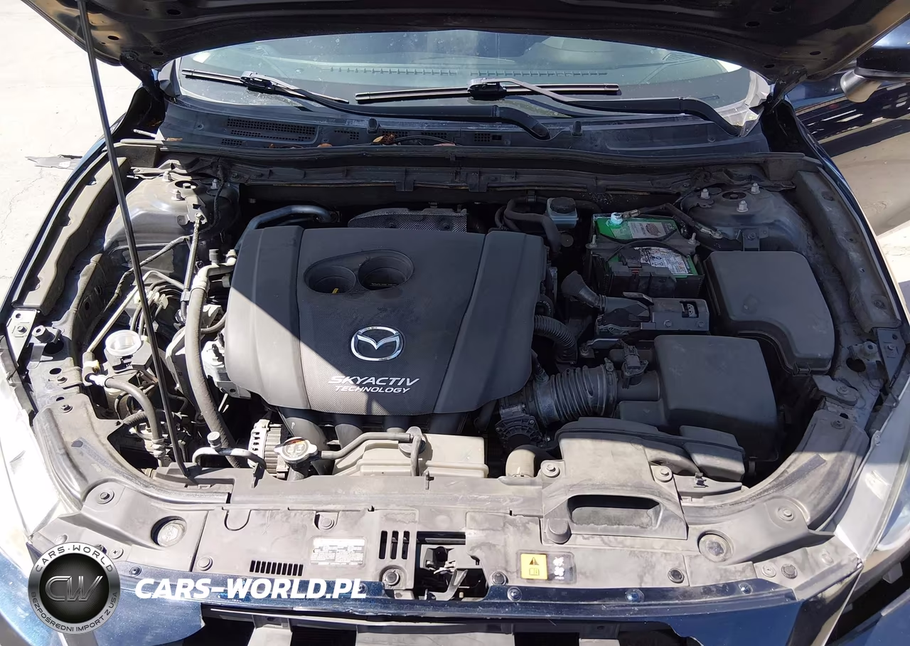 2015 Mazda Mazda3 I Sport VIN:JM1BM1U71F1257116 - 10