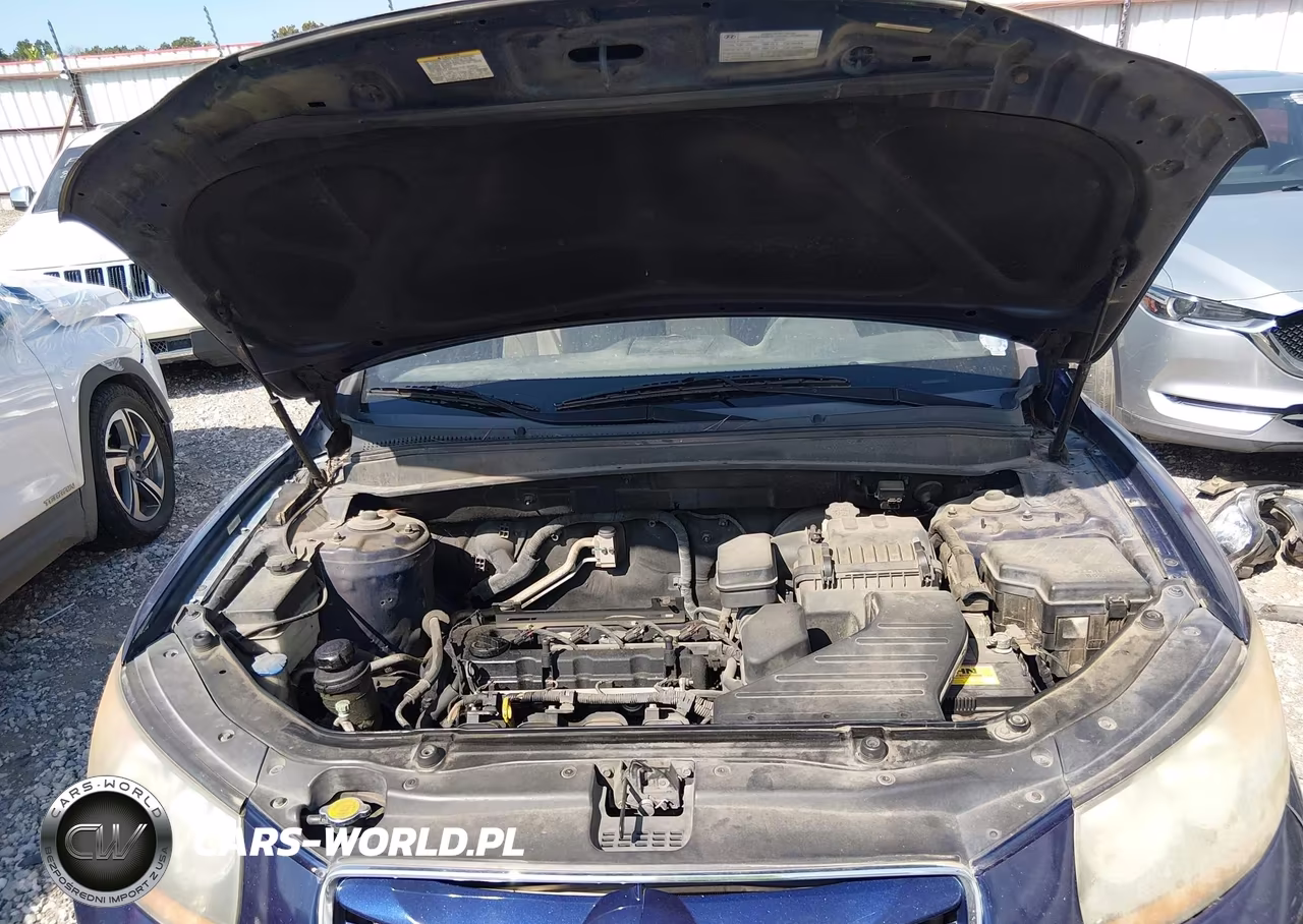2010 Hyundai Santa Fe Gls VIN:5NMSG3AB6AH387628 - 10