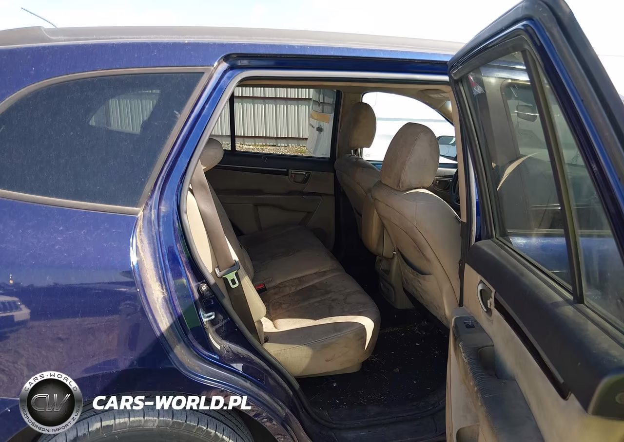 2010 Hyundai Santa Fe Gls VIN:5NMSG3AB6AH387628 - 8