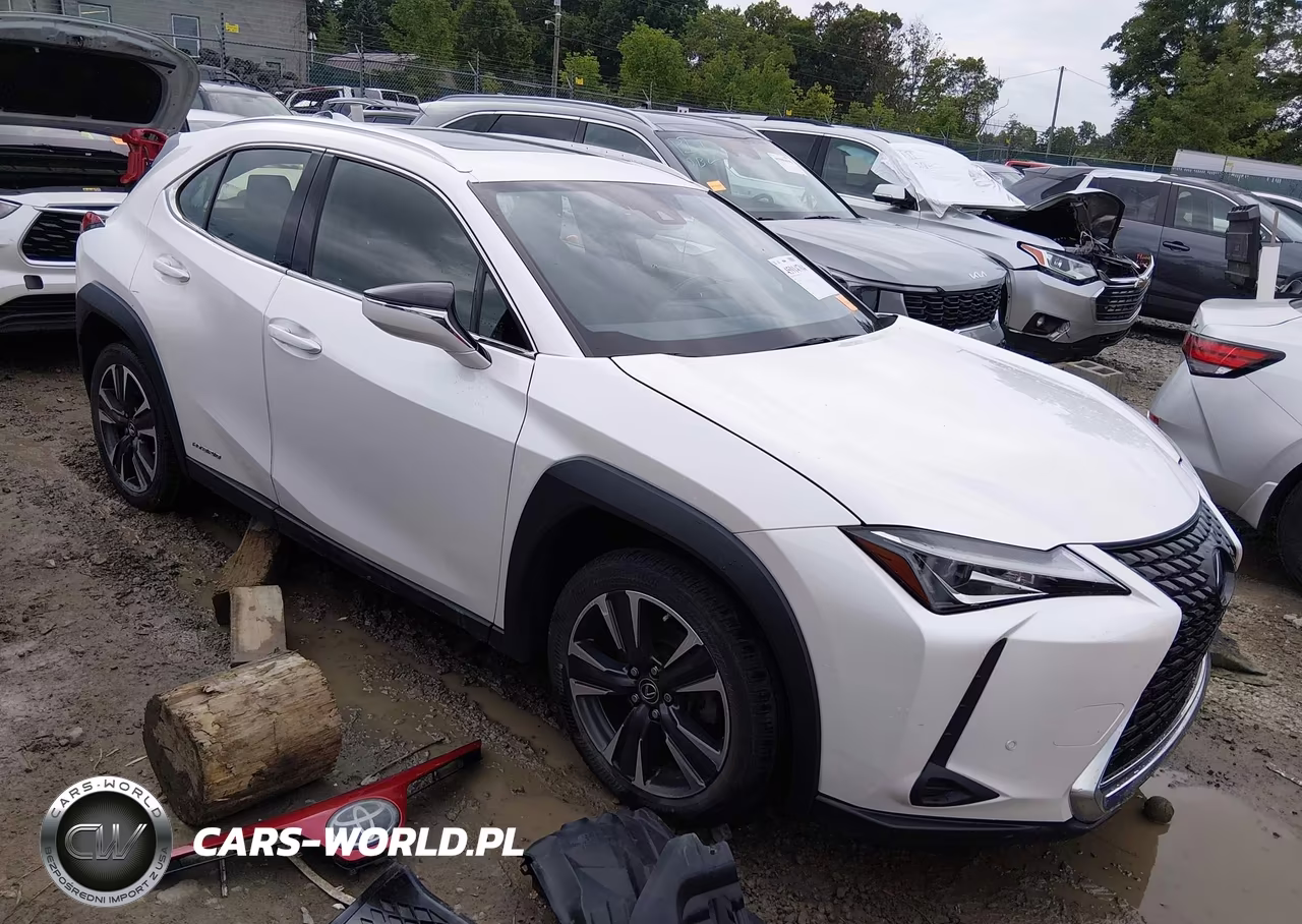 2020 Lexus Ux 250H