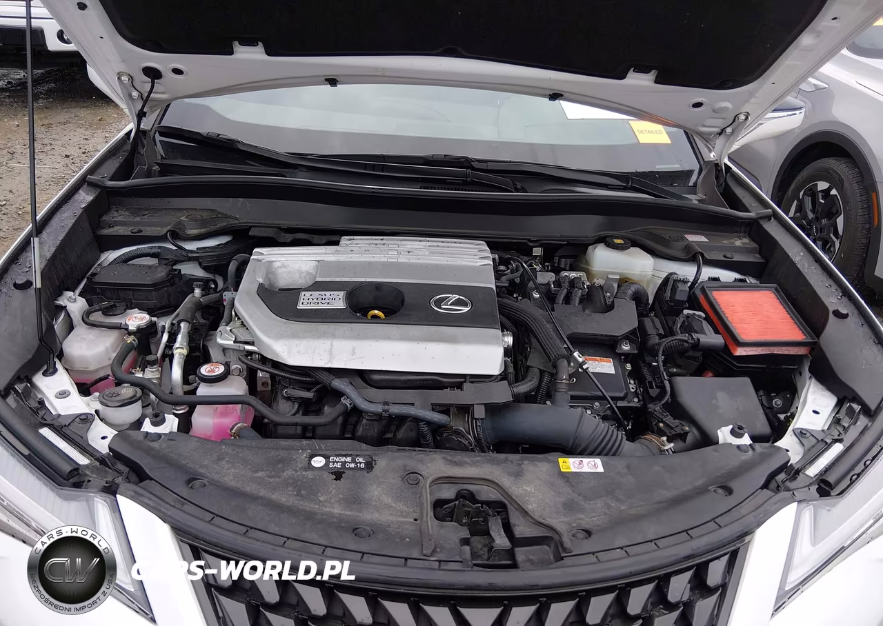 2020 Lexus Ux 250H VIN:JTHP9JBH1L2024411 - 10