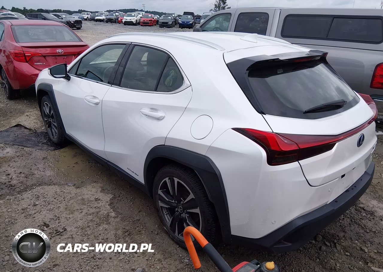 2020 Lexus Ux 250H VIN:JTHP9JBH1L2024411 - 3