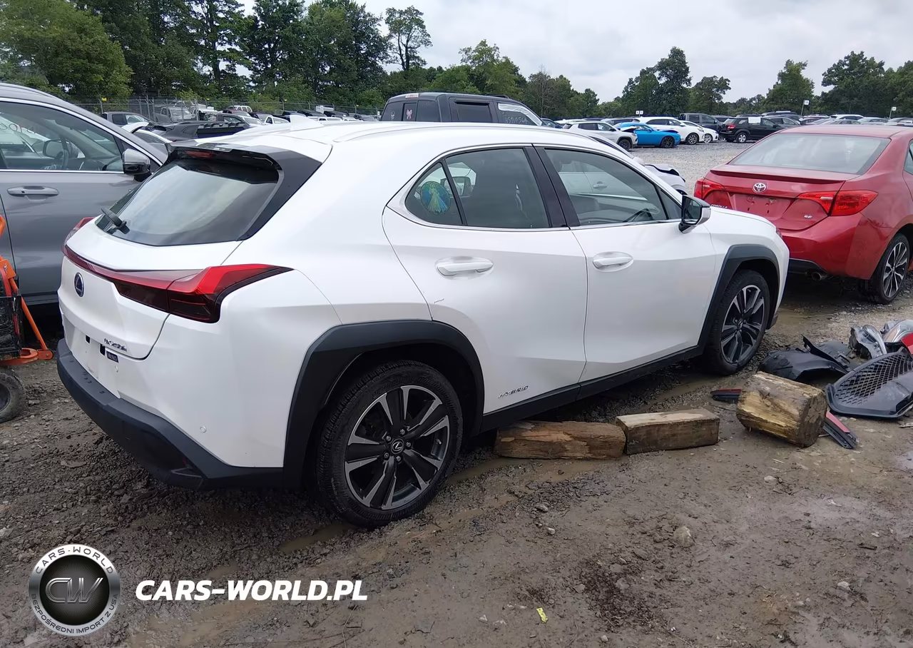 2020 Lexus Ux 250H VIN:JTHP9JBH1L2024411 - 4