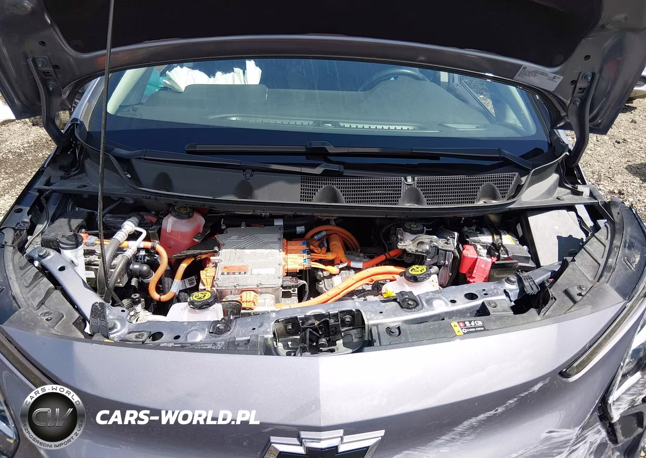 2023 Chevrolet Bolt Ev Fwd 1Lt VIN:1G1FW6S03P4112795 - 10