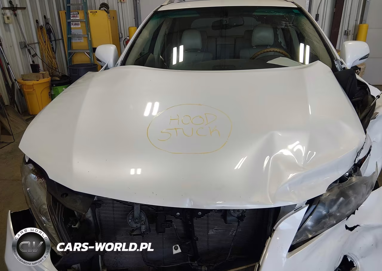 2010 Lexus Rx 350 VIN:2T2ZK1BA5AC001600 - 10