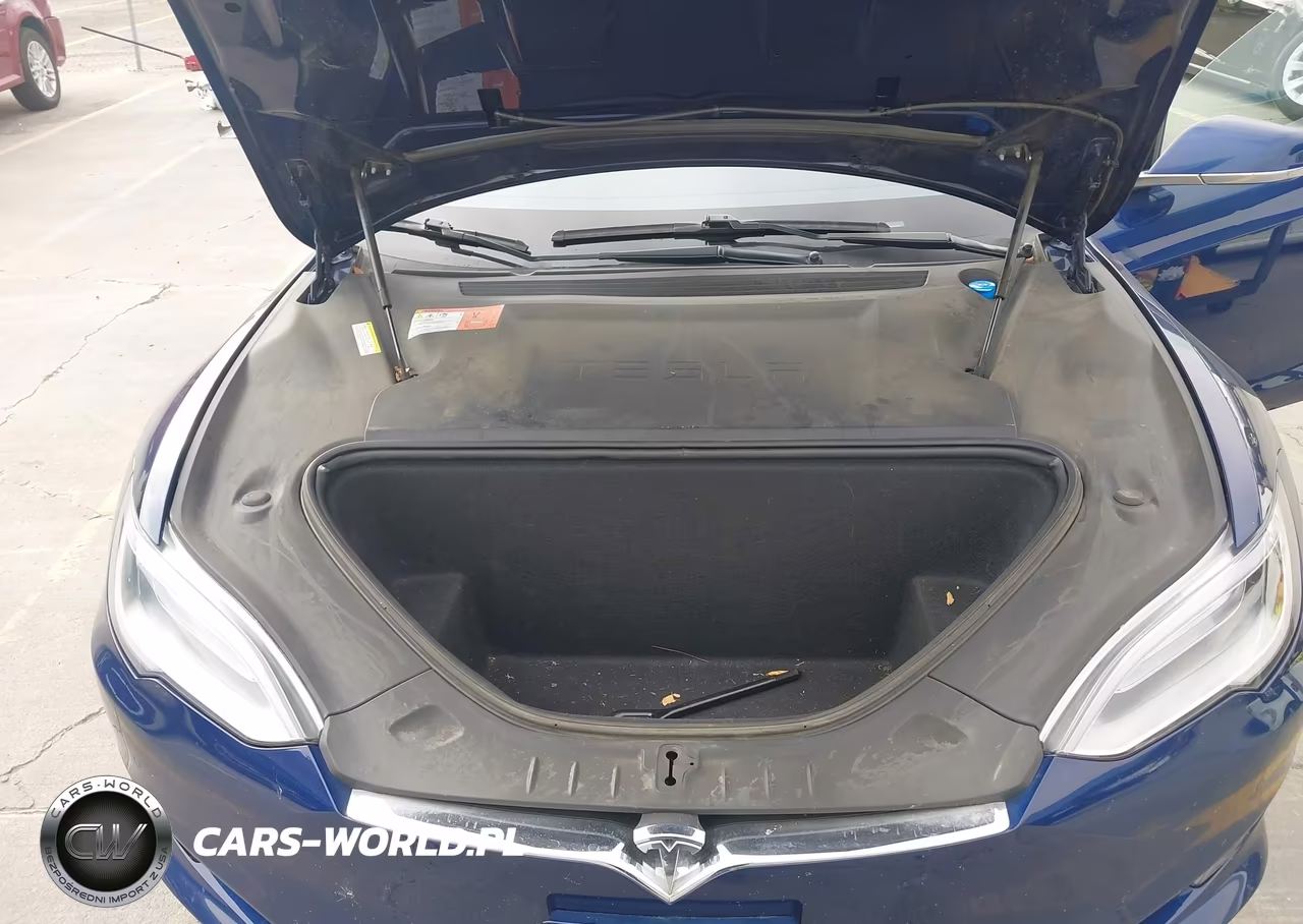 2016 Tesla Model S 60-70-75-85 VIN:5YJSA1E14GF174338 - 10