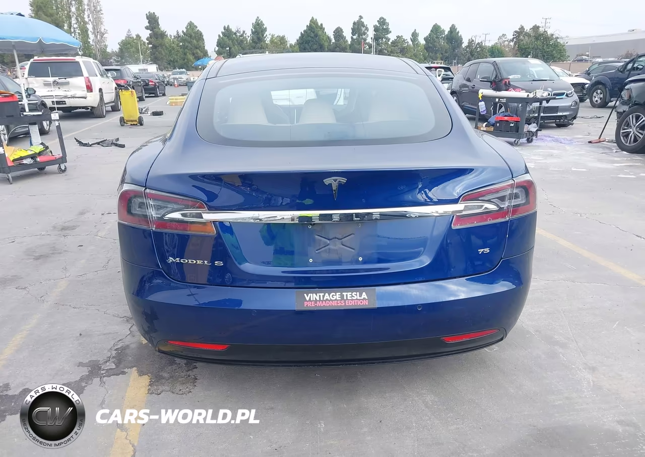 2016 Tesla Model S 60-70-75-85 VIN:5YJSA1E14GF174338 - 16
