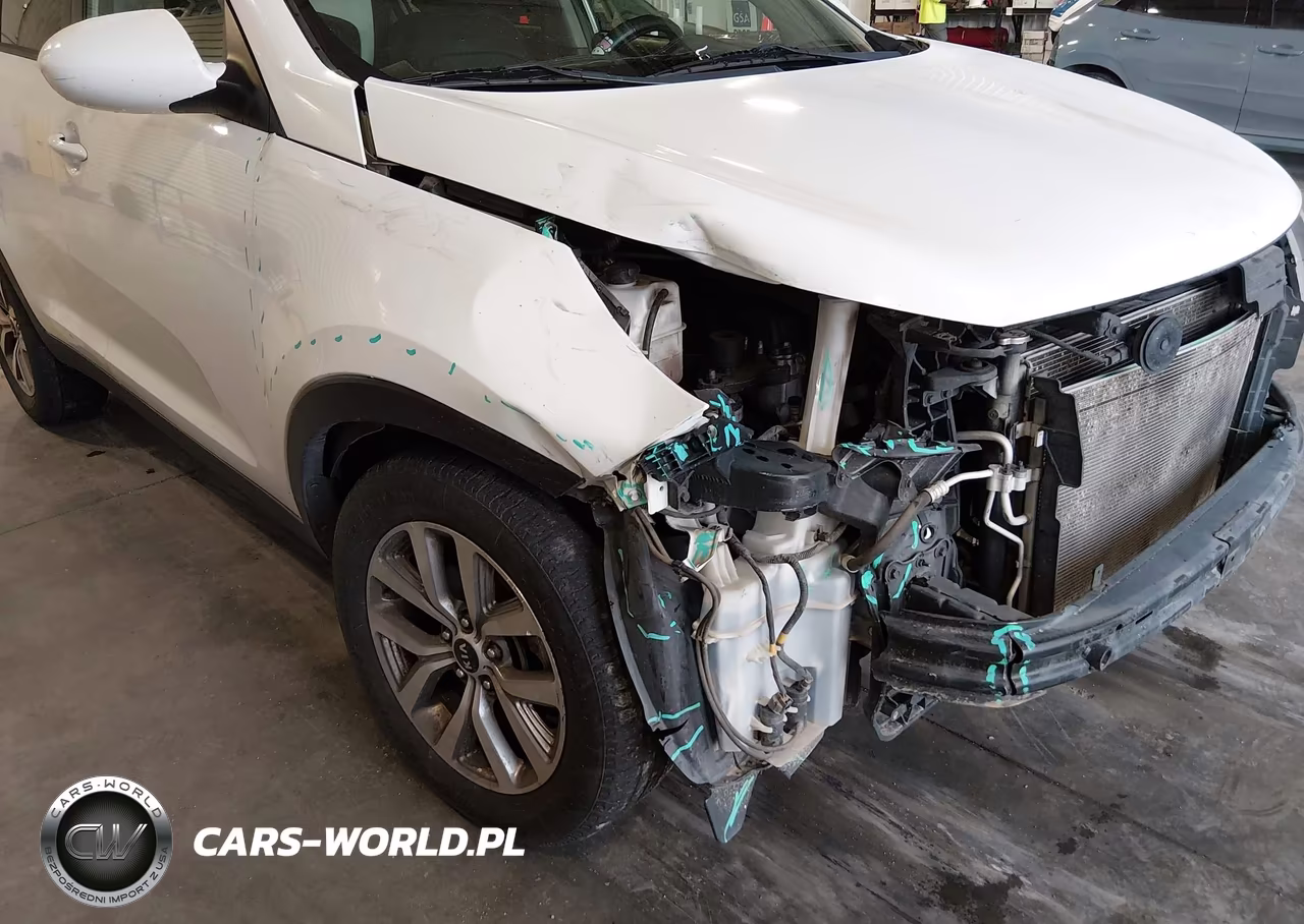 2016 Kia Sportage Lx VIN:KNDPB3ACXG7837570 - 13