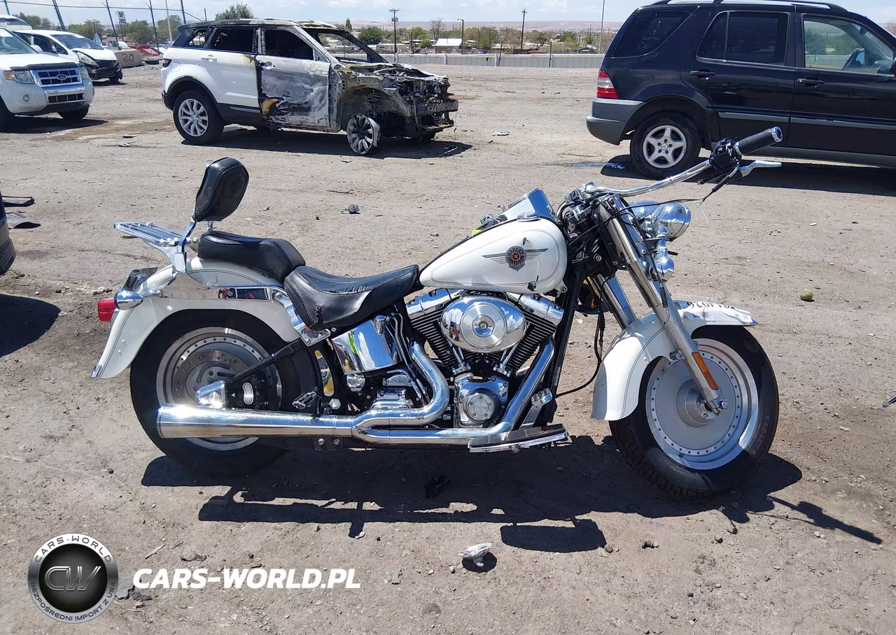 2000 Harley-Davidson Flstf VIN:1HD1BMY1XYY056591 - 11
