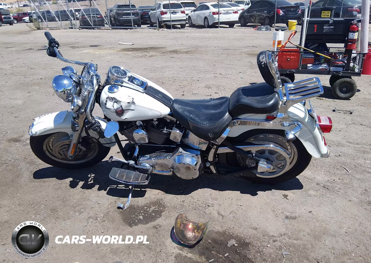 2000 Harley-Davidson Flstf VIN:1HD1BMY1XYY056591 - 12