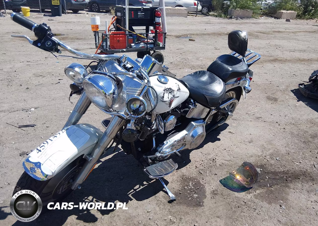 2000 Harley-Davidson Flstf VIN:1HD1BMY1XYY056591 - 2
