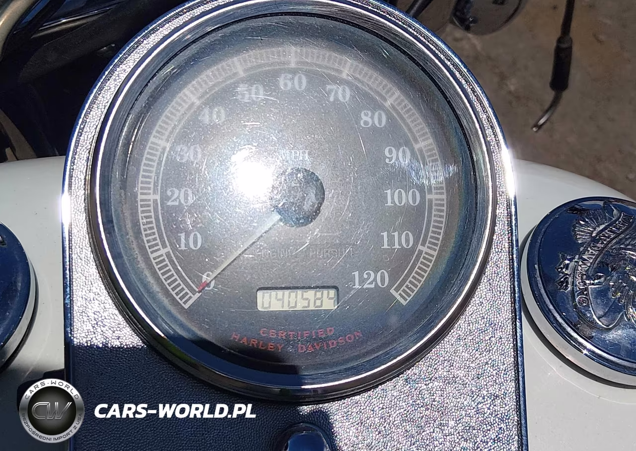 2000 Harley-Davidson Flstf VIN:1HD1BMY1XYY056591 - 7