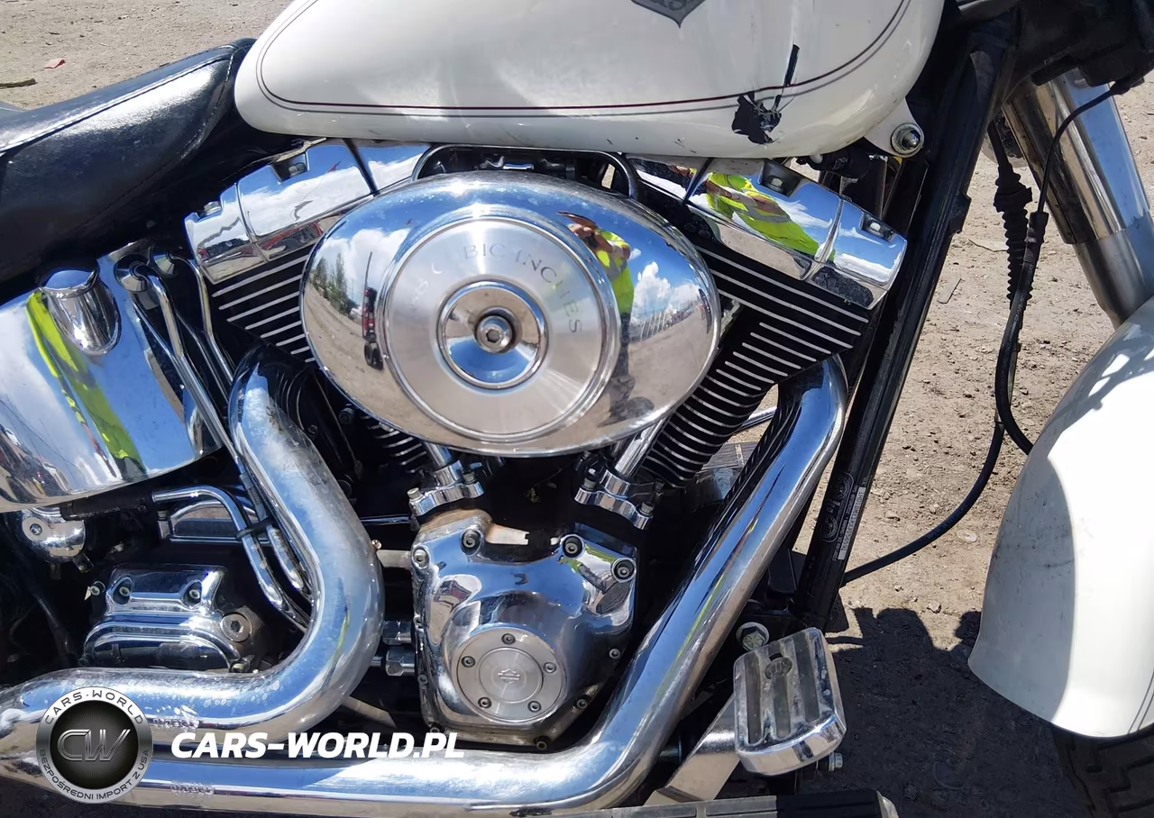 2000 Harley-Davidson Flstf VIN:1HD1BMY1XYY056591 - 8