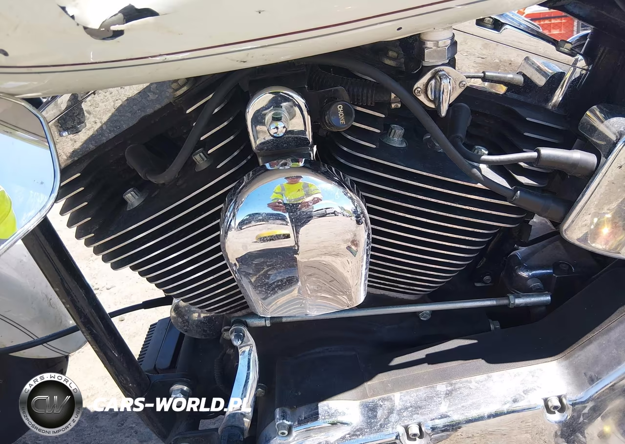 2000 Harley-Davidson Flstf VIN:1HD1BMY1XYY056591 - 9