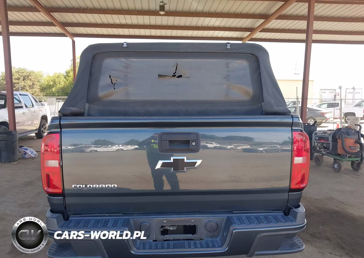 2019 Chevrolet Colorado Wt VIN:1GCGSBEA7K1129923 - 16