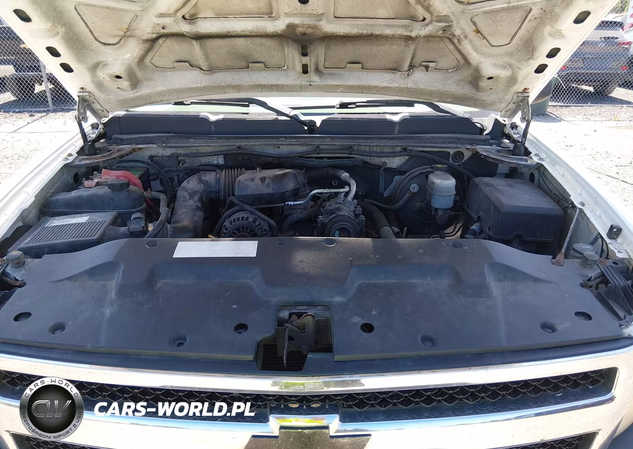 2009 Chevrolet Silverado 1500 Work Truck VIN:1GCEC14X19Z126189 - 10