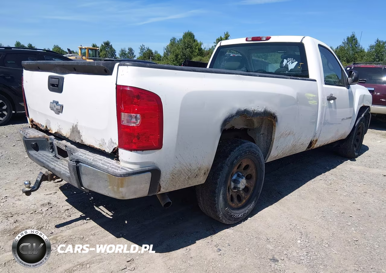 2009 Chevrolet Silverado 1500 Work Truck VIN:1GCEC14X19Z126189 - 4