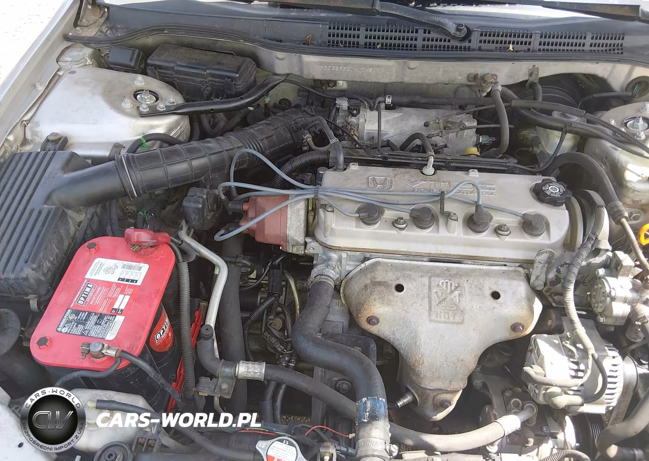 1998 Honda Accord Ex VIN:1HGCG5650WA124802 - 10