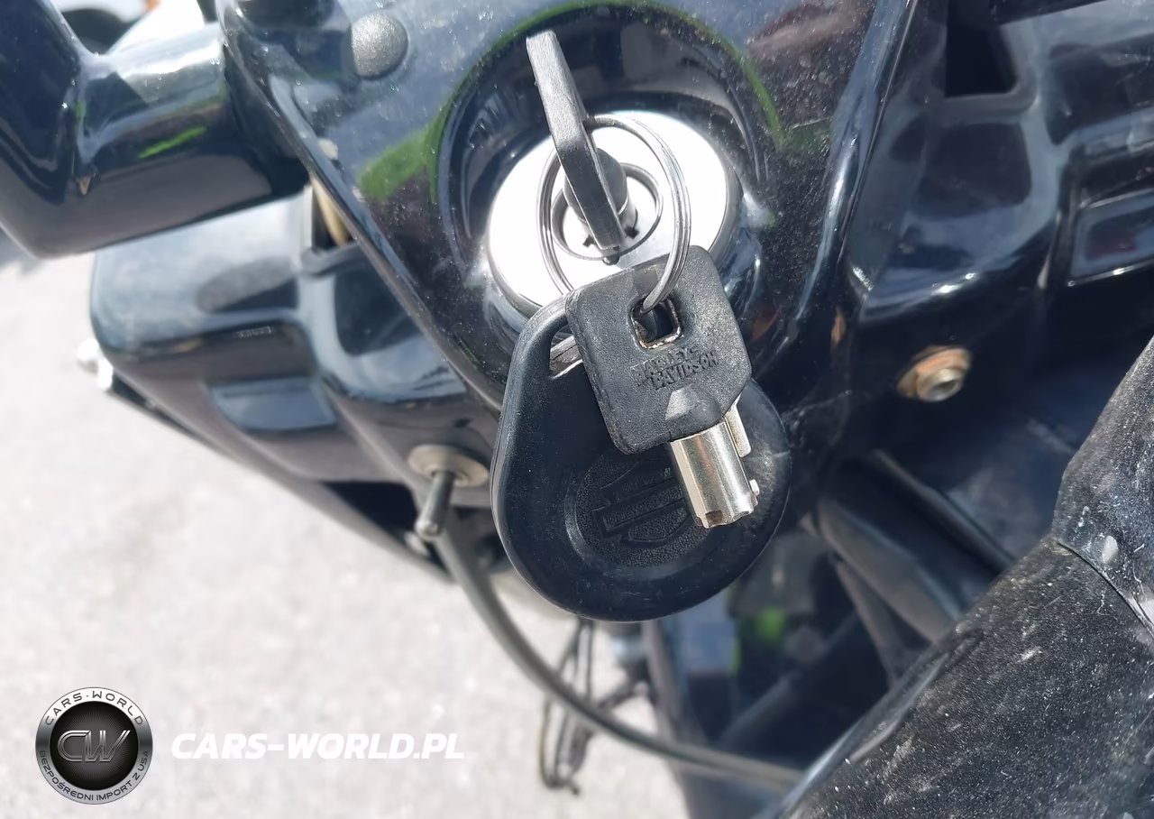 2008 Harley-Davidson Flhp Police VIN:1HD1FHM128Y689636 - 11