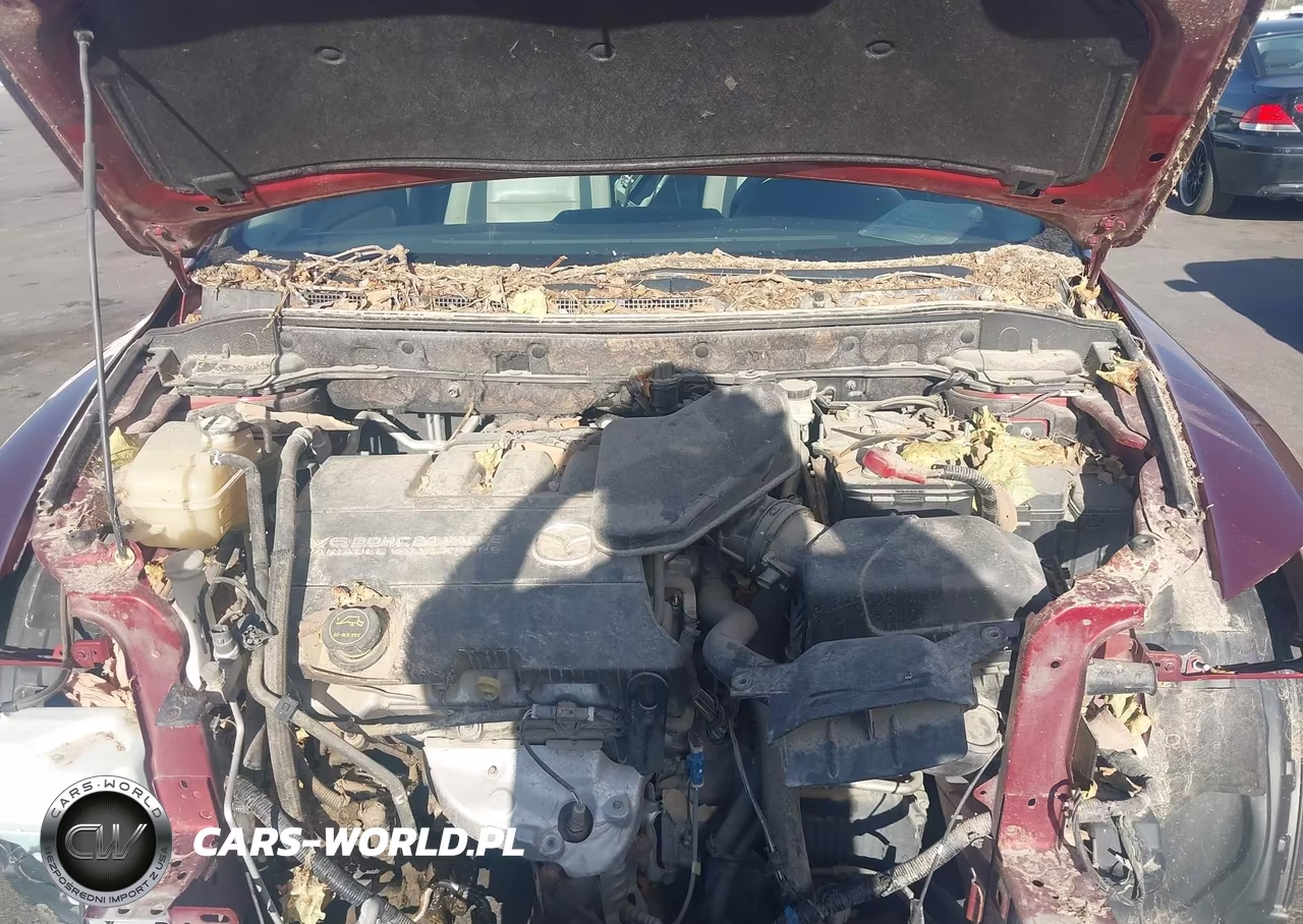 2009 Mazda Cx-9 Touring VIN:JM3TB38V190172552 - 10