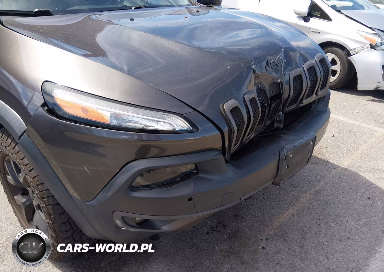 2016 Jeep Cherokee Trailhawk VIN:1C4PJMBS8GW151371 - 6