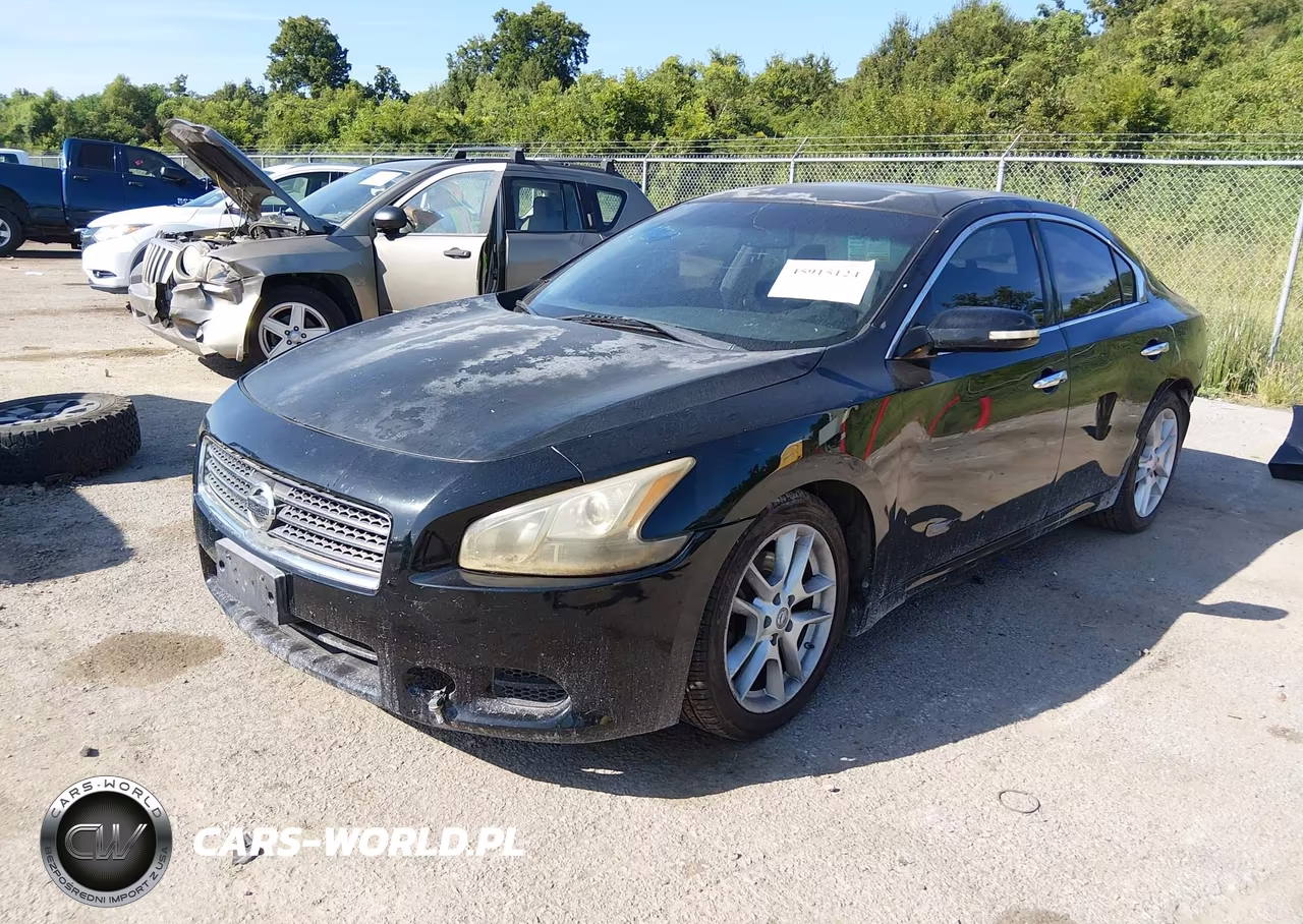 2011 Nissan Maxima 3.5 Sv VIN:1N4AA5AP1BC848924 - 2