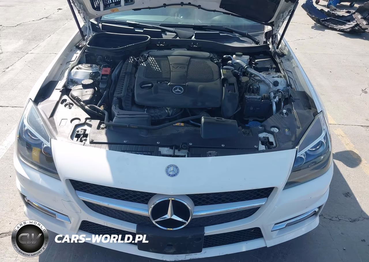 2014 Mercedes-Benz Slk 350 VIN:WDDPK5HA0EF085502 - 10