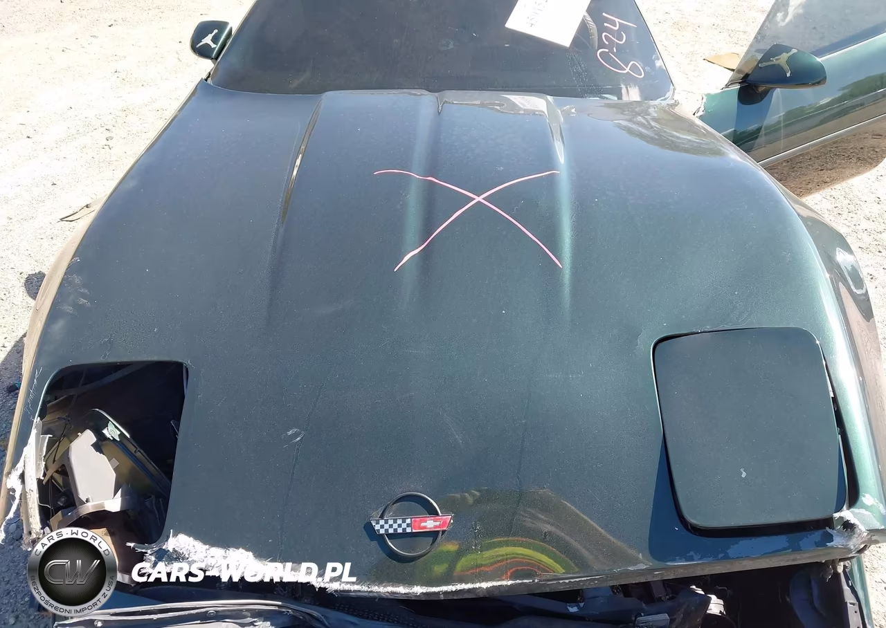 1994 Chevrolet Corvette VIN:1G1YY22P9R5116520 - 10