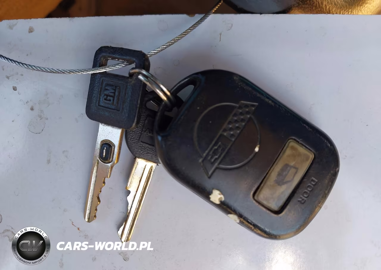 1994 Chevrolet Corvette VIN:1G1YY22P9R5116520 - 11