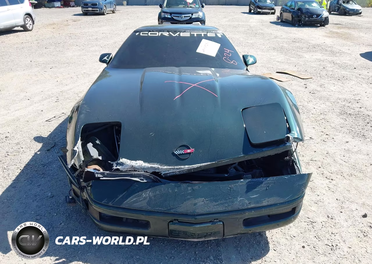 1994 Chevrolet Corvette VIN:1G1YY22P9R5116520 - 12