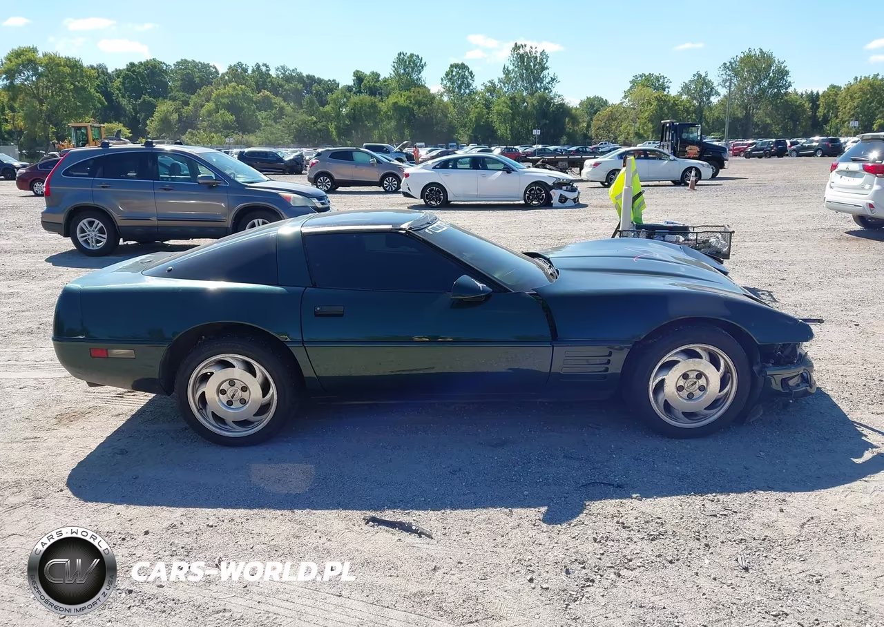 1994 Chevrolet Corvette VIN:1G1YY22P9R5116520 - 13