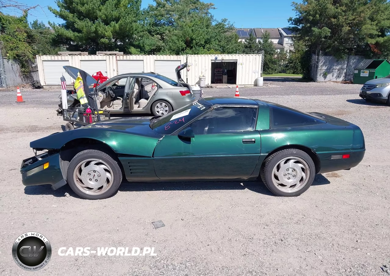 1994 Chevrolet Corvette VIN:1G1YY22P9R5116520 - 14