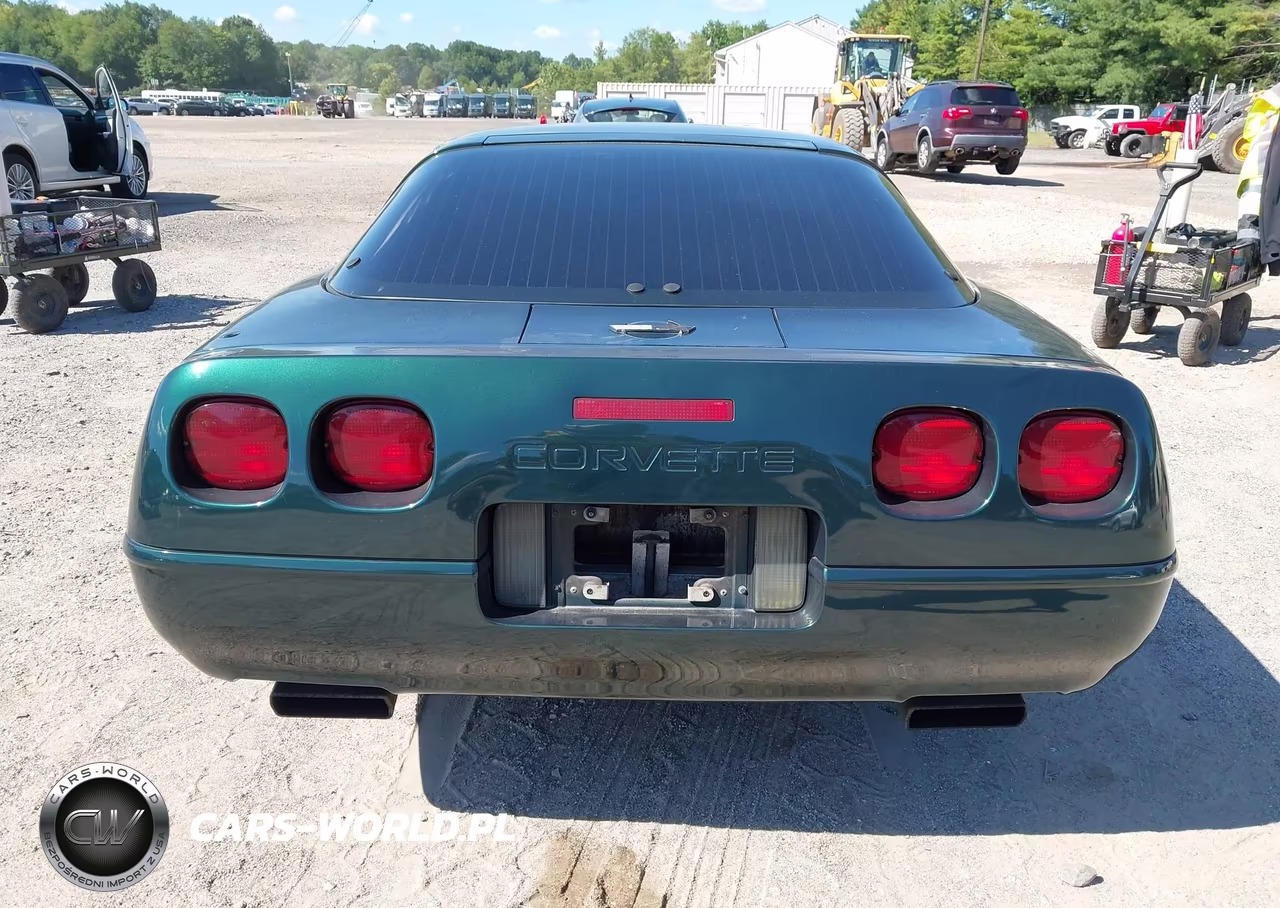 1994 Chevrolet Corvette VIN:1G1YY22P9R5116520 - 16