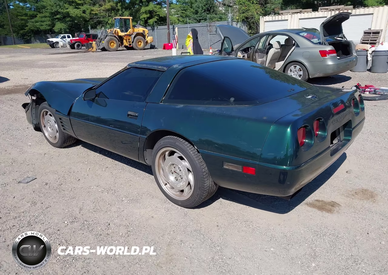 1994 Chevrolet Corvette VIN:1G1YY22P9R5116520 - 3