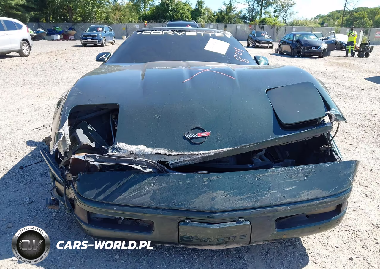 1994 Chevrolet Corvette VIN:1G1YY22P9R5116520 - 6