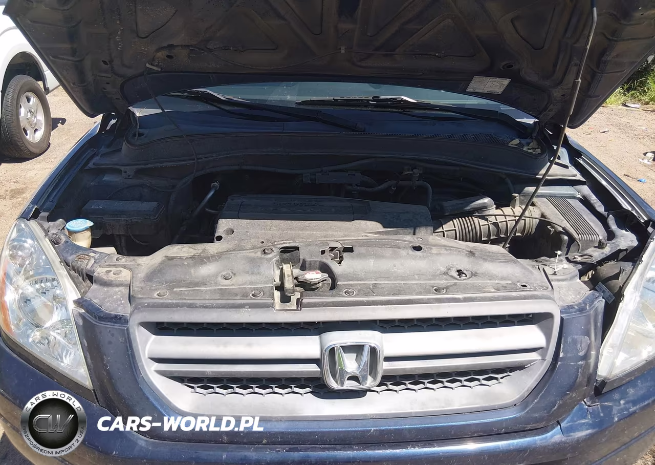 2004 Honda Pilot Ex VIN:2HKYF184X4H527549 - 10