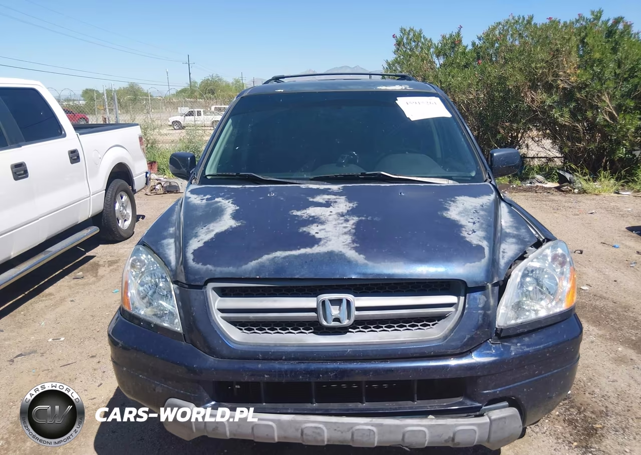 2004 Honda Pilot Ex VIN:2HKYF184X4H527549 - 12