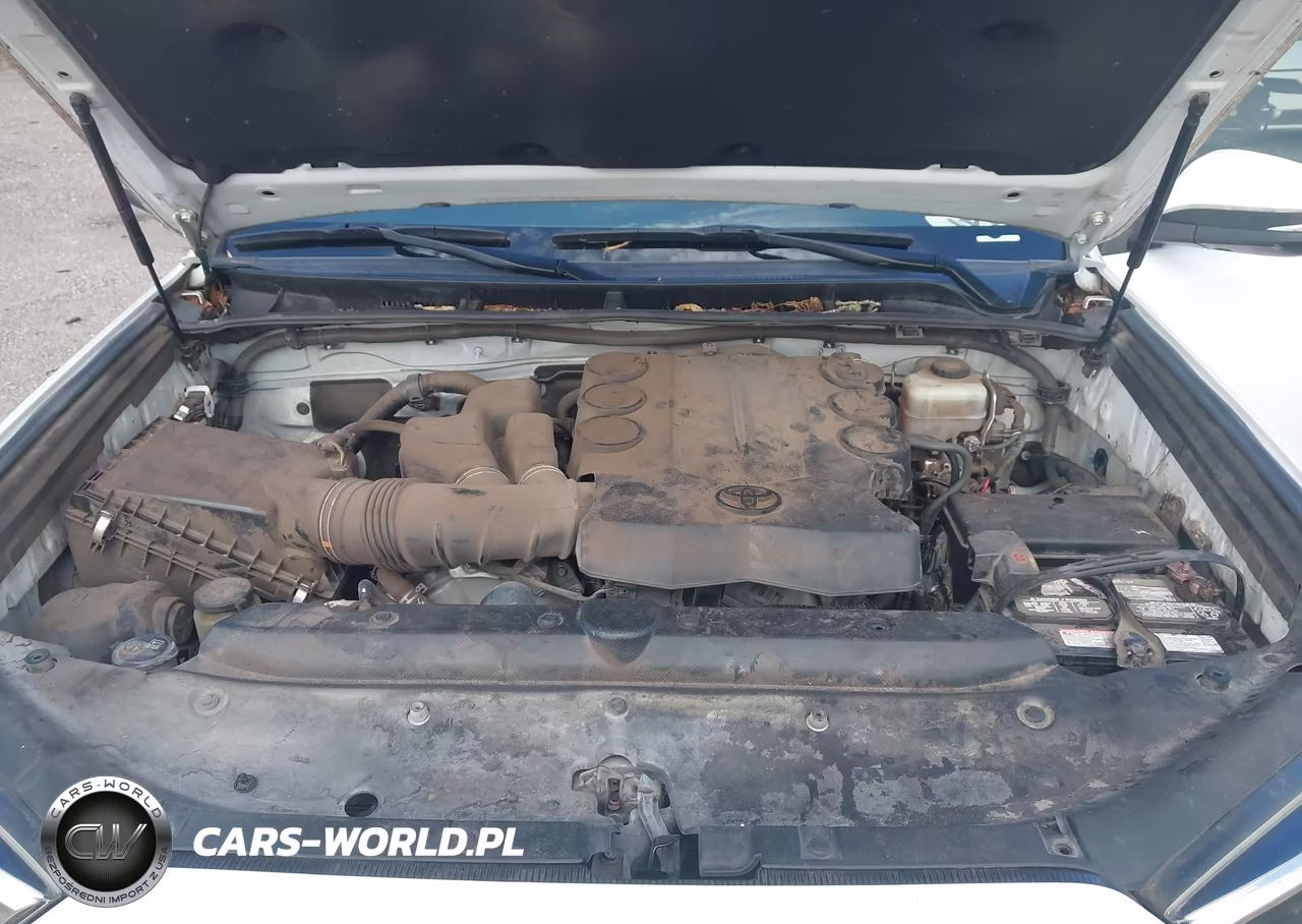 2017 Toyota 4Runner Sr5 Premium VIN:JTEBU5JR7H5476098 - 10