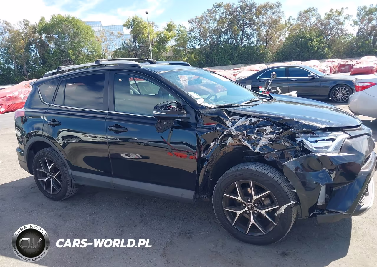 2016 Toyota Rav4 Se VIN:2T3NFREV0GW243343 - 13