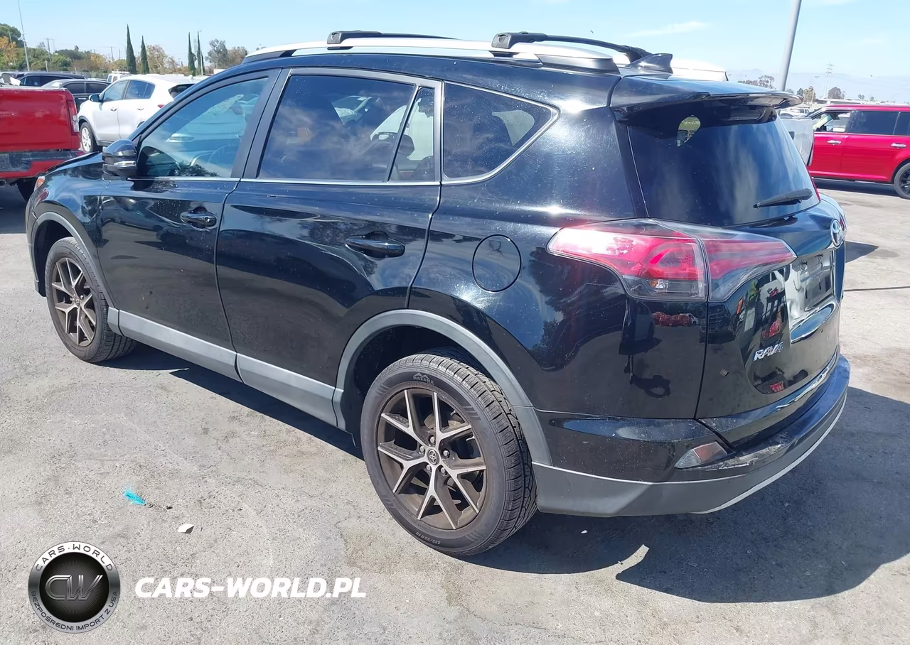 2016 Toyota Rav4 Se VIN:2T3NFREV0GW243343 - 3