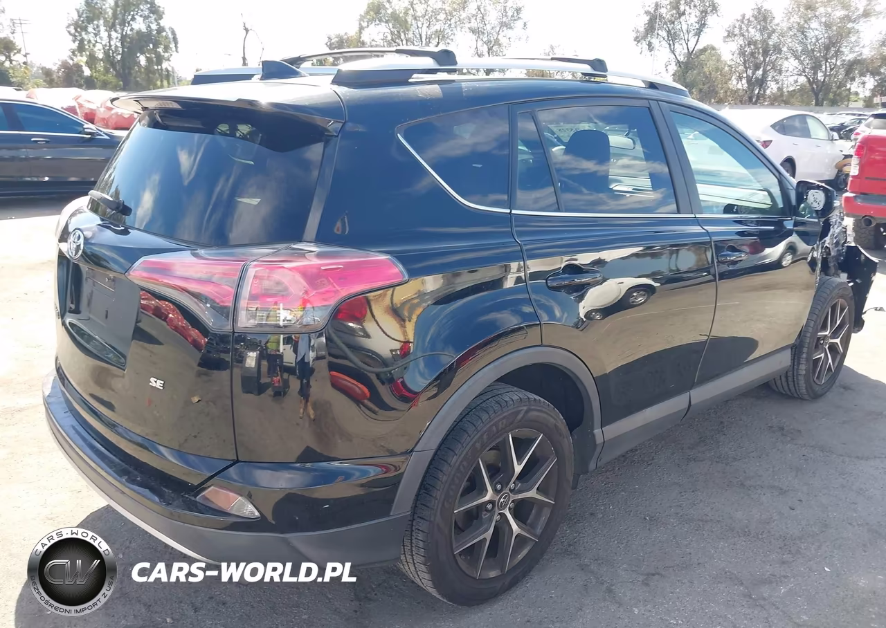 2016 Toyota Rav4 Se VIN:2T3NFREV0GW243343 - 4