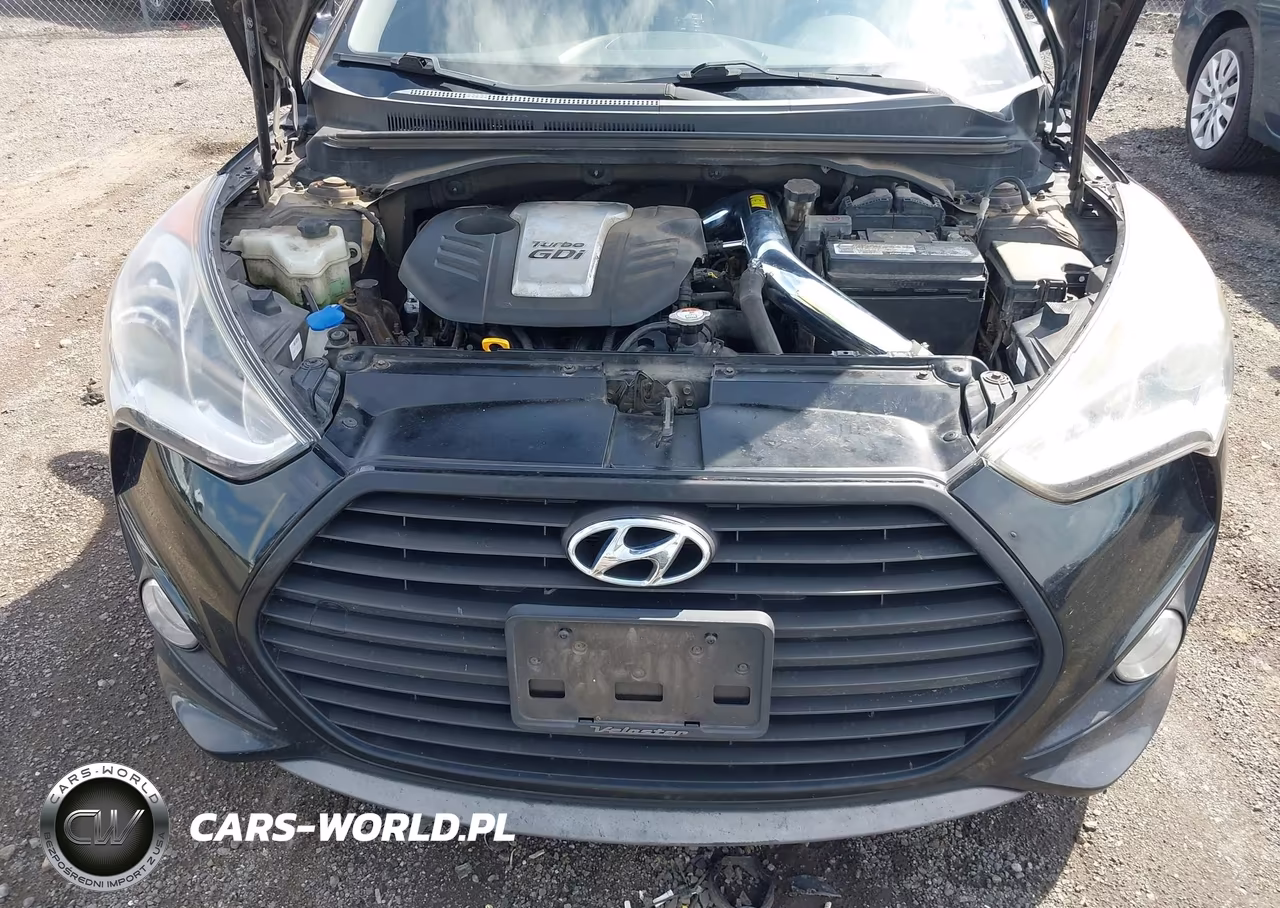 2015 Hyundai Veloster Turbo VIN:KMHTC6AE5FU216361 - 6