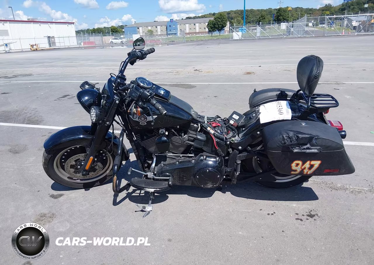 2016 Harley-Davidson Flstfbs VIN:1HD1JT917GC017657 - 12
