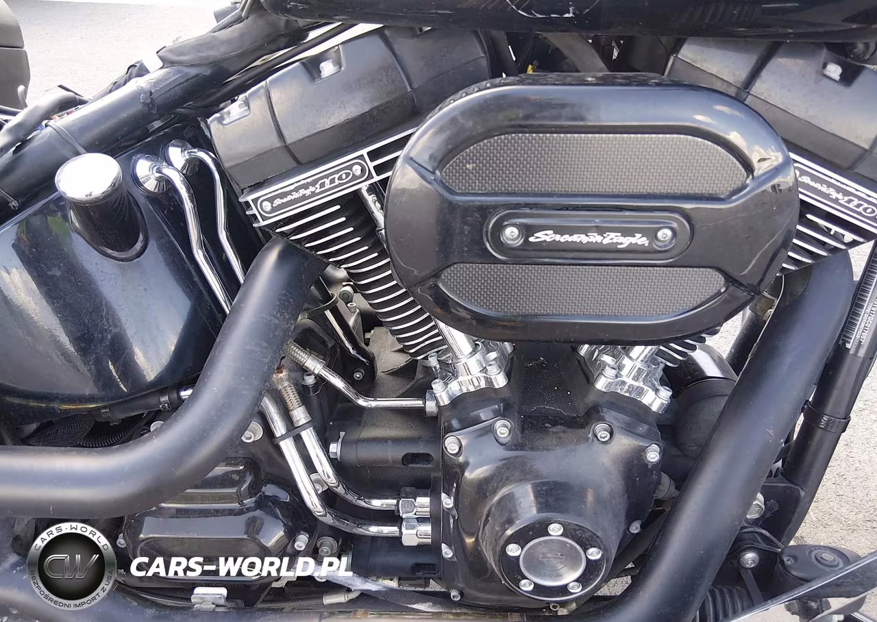 2016 Harley-Davidson Flstfbs VIN:1HD1JT917GC017657 - 8