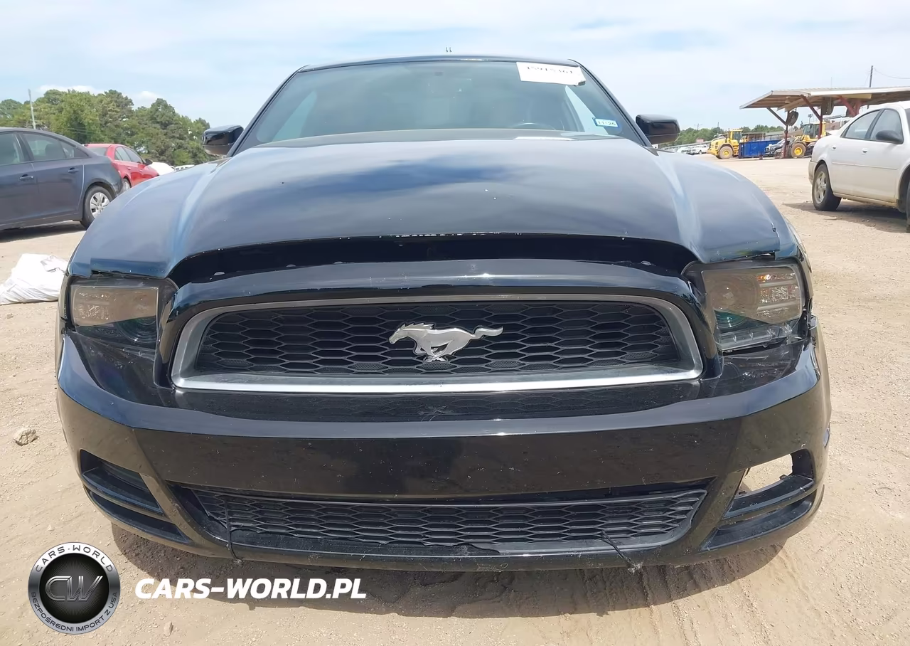2014 Ford Mustang V6 Premium VIN:1ZVBP8AM9E5310952 - 12