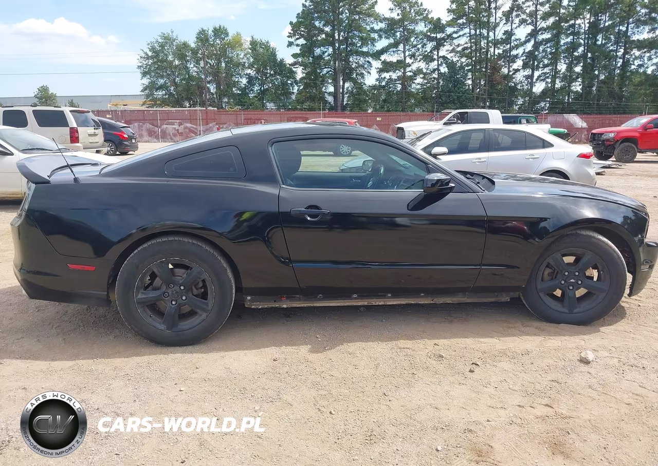 2014 Ford Mustang V6 Premium VIN:1ZVBP8AM9E5310952 - 13