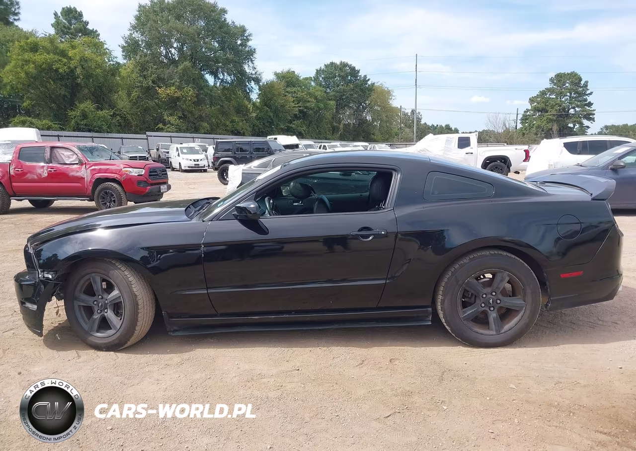2014 Ford Mustang V6 Premium VIN:1ZVBP8AM9E5310952 - 14