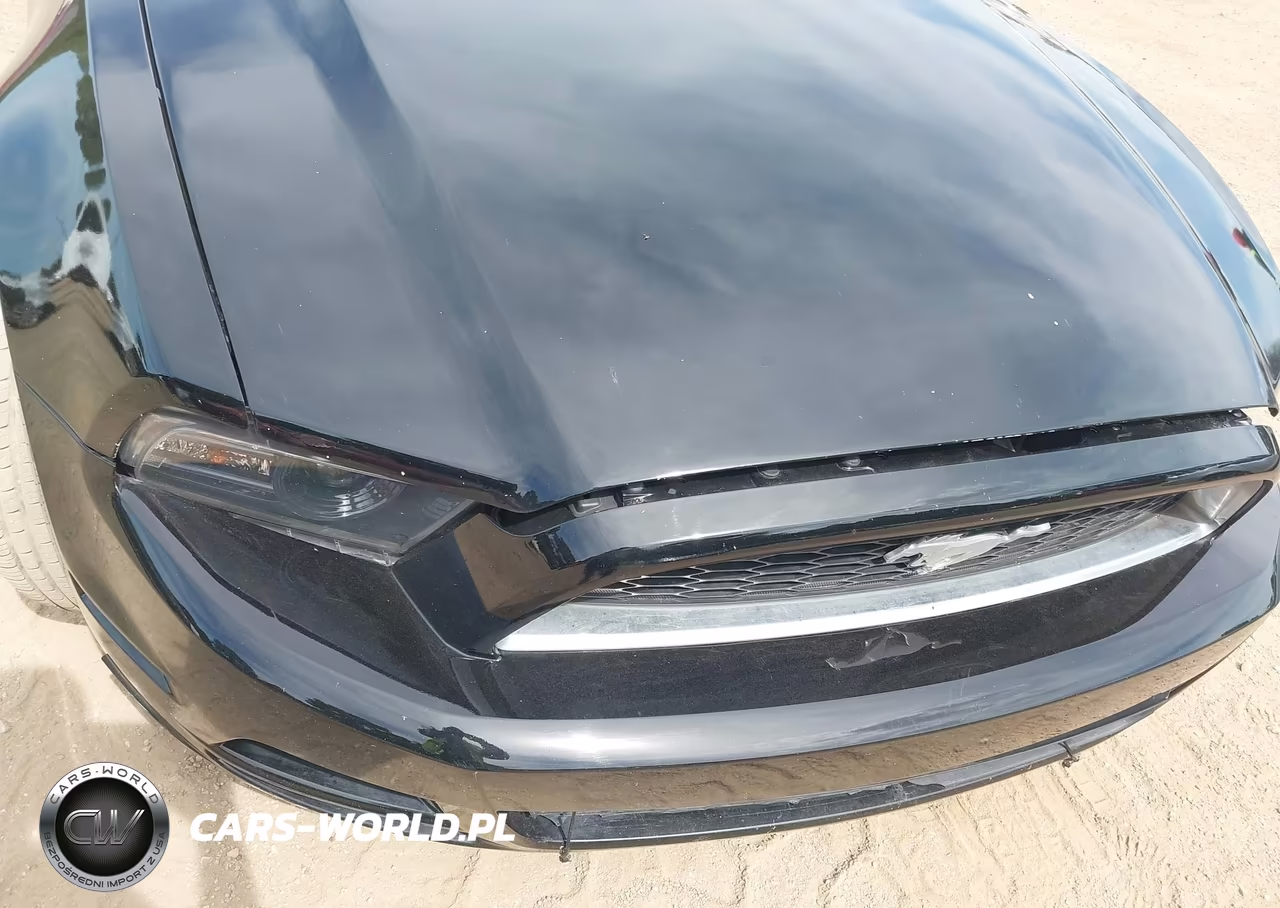 2014 Ford Mustang V6 Premium VIN:1ZVBP8AM9E5310952 - 17