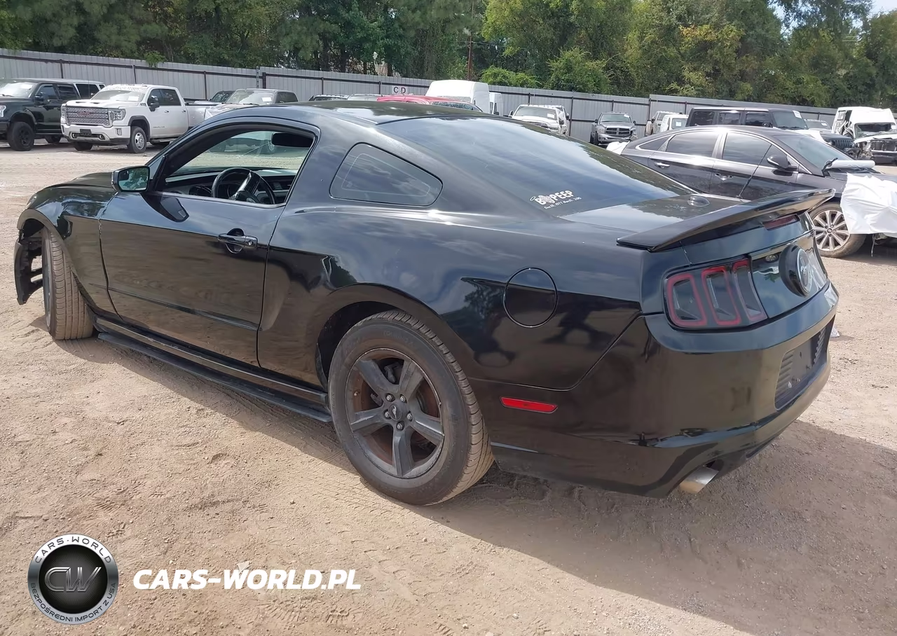 2014 Ford Mustang V6 Premium VIN:1ZVBP8AM9E5310952 - 3