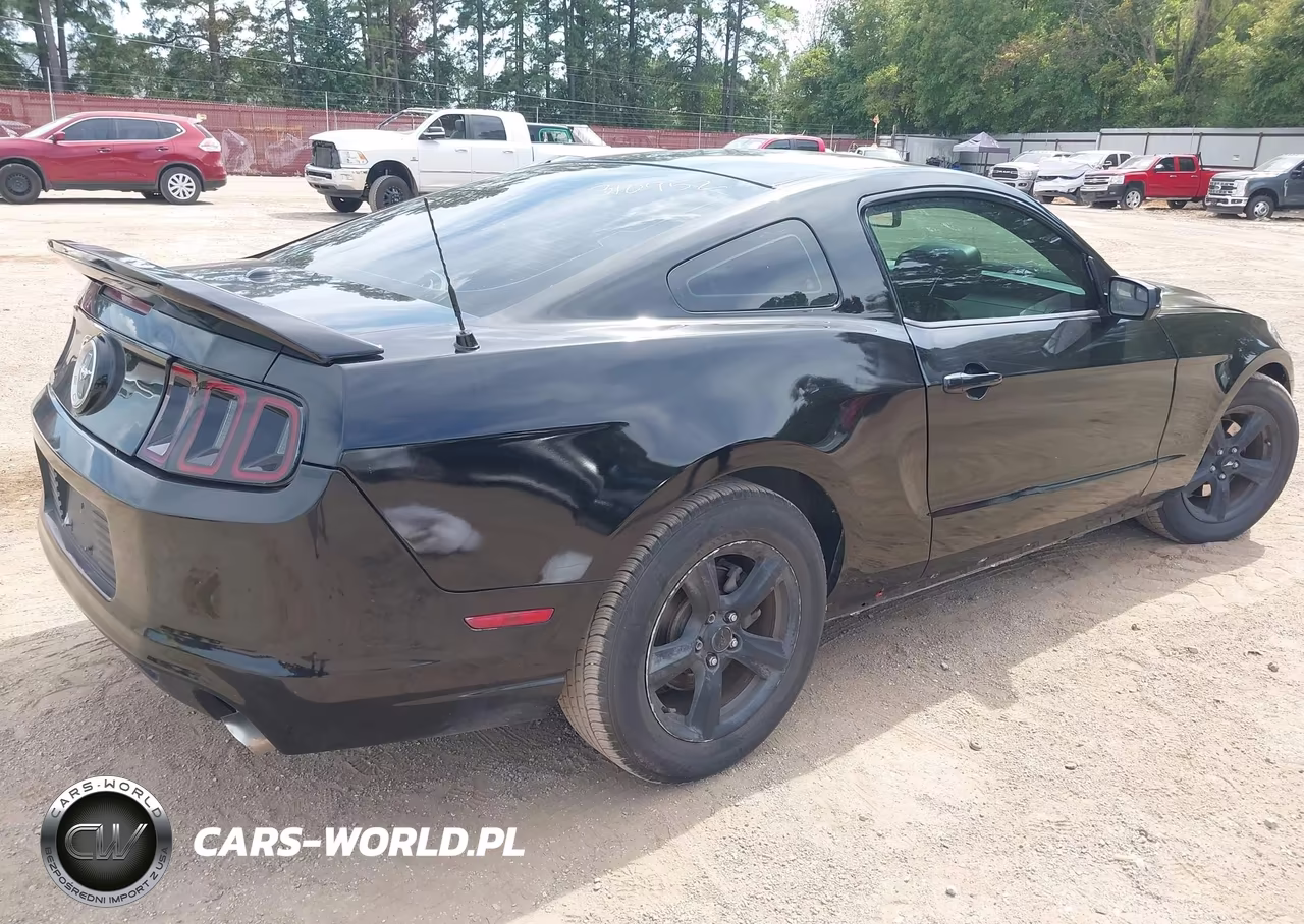2014 Ford Mustang V6 Premium VIN:1ZVBP8AM9E5310952 - 4